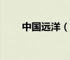 中国远洋（说一说中国远洋的简介）