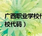 广西职业学校代码查询（广西职业技术学院院校代码）