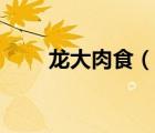 龙大肉食（说一说龙大肉食的简介）