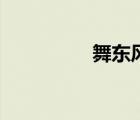 舞东风供应商（舞东风）