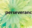 perseverance rover（perseverance）