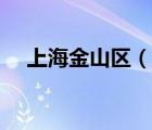 上海金山区（说一说上海金山区的简介）