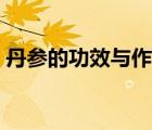 丹参的功效与作用禁忌（丹参的功效与作用）
