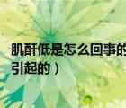 肌酐低是怎么回事的原因（肌酐偏高的原因 肌酐偏高是怎么引起的）