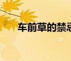 车前草的禁忌与危害（车前草的禁忌）