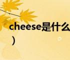 cheese是什么意思英文（cheese是什么意思）