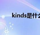kinds是什么意思（kin是什么意思）