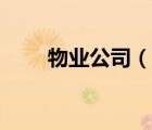 物业公司（说一说物业公司的简介）