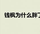 钱枫为什么胖了（钱枫为什么胖了那么多）