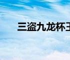 三盗九龙杯王玥波全集（三盗九龙杯）