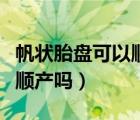 帆状胎盘可以顺产吗有危险吗（帆状胎盘可以顺产吗）