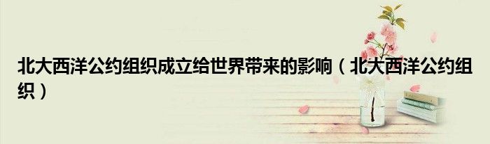 北大西洋公约组织成立给世界带来的影响（北大西洋公约组织）
