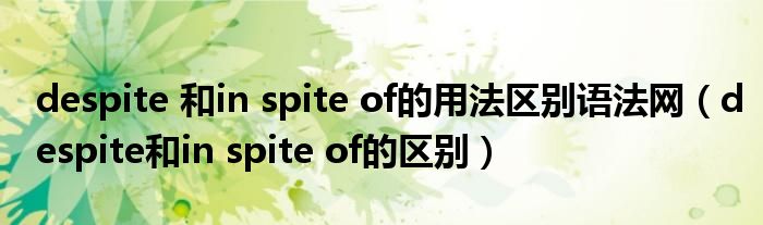 despite 和in spite of的用法区别语法网（despite和in spite of的区别）