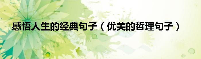 感悟人生的经典句子（优美的哲理句子）