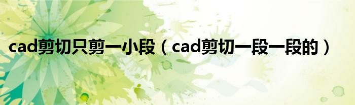 cad剪切只剪一小段（cad剪切一段一段的）