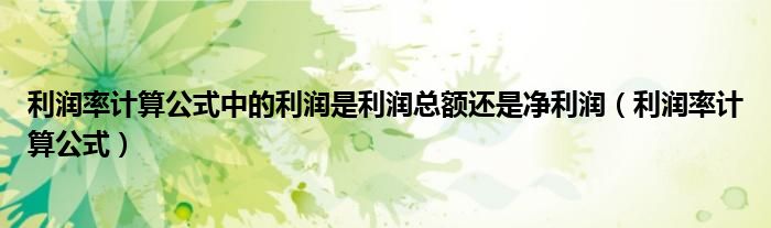 利润率计算公式中的利润是利润总额还是净利润（利润率计算公式）
