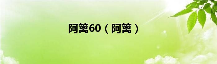 阿篱60（阿篱）