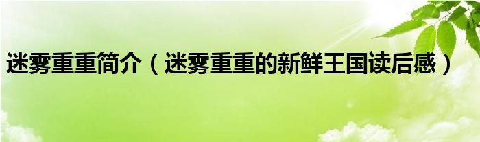 迷雾重重简介（迷雾重重的新鲜王国读后感）