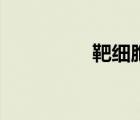 靶细胞的定义（靶细胞）