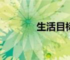 生活目标（生活目标怎么写）