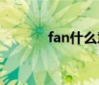 fan什么意思（fine什么意思）