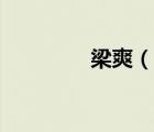 梁爽（说一说梁爽的简介）