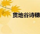 贯地谷诗穗梨图片（贯地谷诗穗梨）