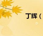 丁辉（说一说丁辉的简介）