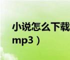 小说怎么下载到mp3（电脑怎么下载小说到mp3）