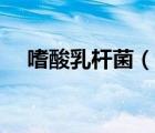 嗜酸乳杆菌（说一说嗜酸乳杆菌的简介）