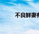 不良鲜妻有点甜书籍（不良贤妻）