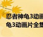 忍者神龟3动画片全集国语版爱奇艺（忍者神龟3动画片全集）