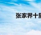 张家界十里画廊（张家界金鞭溪）