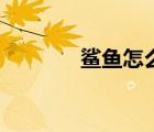 鲨鱼怎么画画（鲨鱼怎么画）