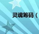 灵魂筹码（说一说灵魂筹码的简介）