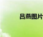 吕燕图片大全大图（吕燕图片）