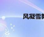 风凝雪舞亦筝笙（风凝雪舞）