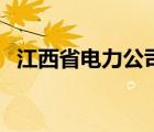 江西省电力公司招标网（江西省电力公司）