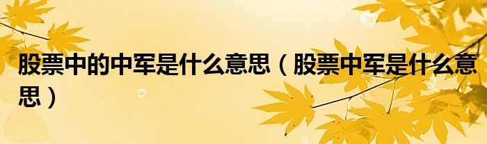 股票中的中军是什么意思（股票中军是什么意思）