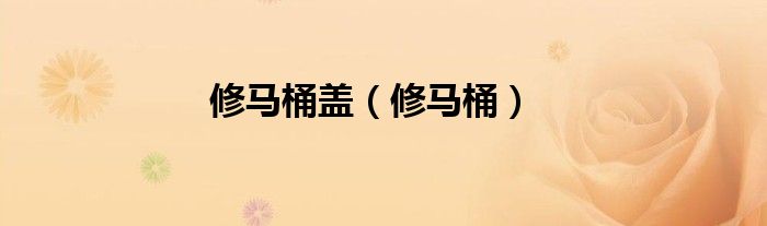 修马桶盖（修马桶）