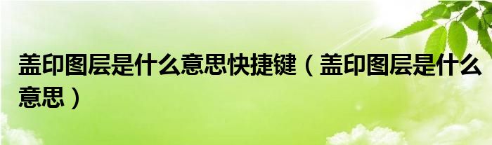 盖印图层是什么意思快捷键（盖印图层是什么意思）