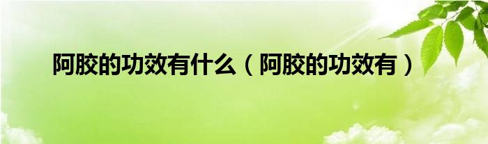 阿胶的功效有什么（阿胶的功效有）