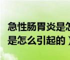 急性肠胃炎是怎么引起的严重吗（急性肠胃炎是怎么引起的）
