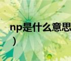 np是什么意思（说一说np是什么意思的简介）