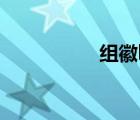 组徽logo设计（组徽）