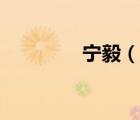 宁毅（说一说宁毅的简介）