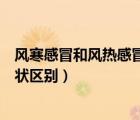 风寒感冒和风热感冒症状区别图片（风寒感冒和风热感冒症状区别）