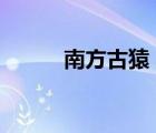 南方古猿 能人 智人（南方古猿）