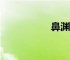 鼻渊片成分（鼻渊片）