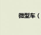 微型车（说一说微型车的简介）